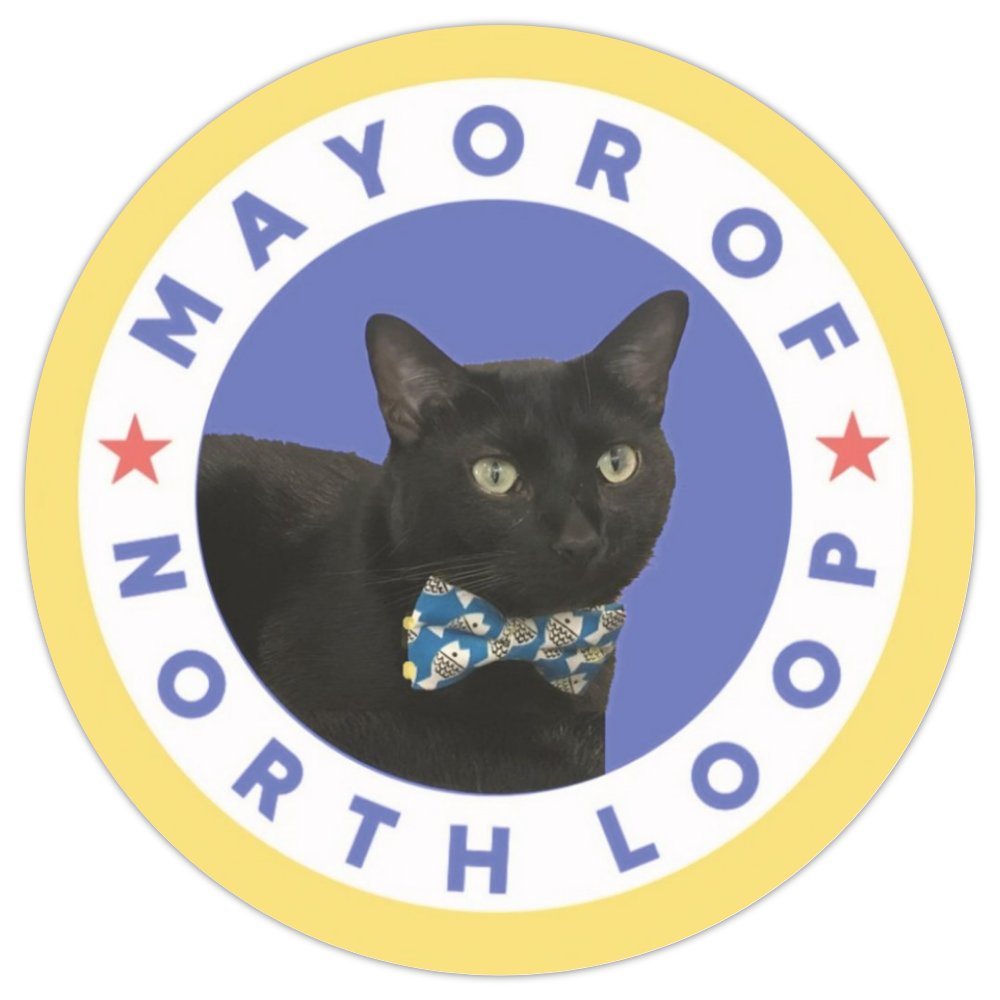 Mayor of North Loop